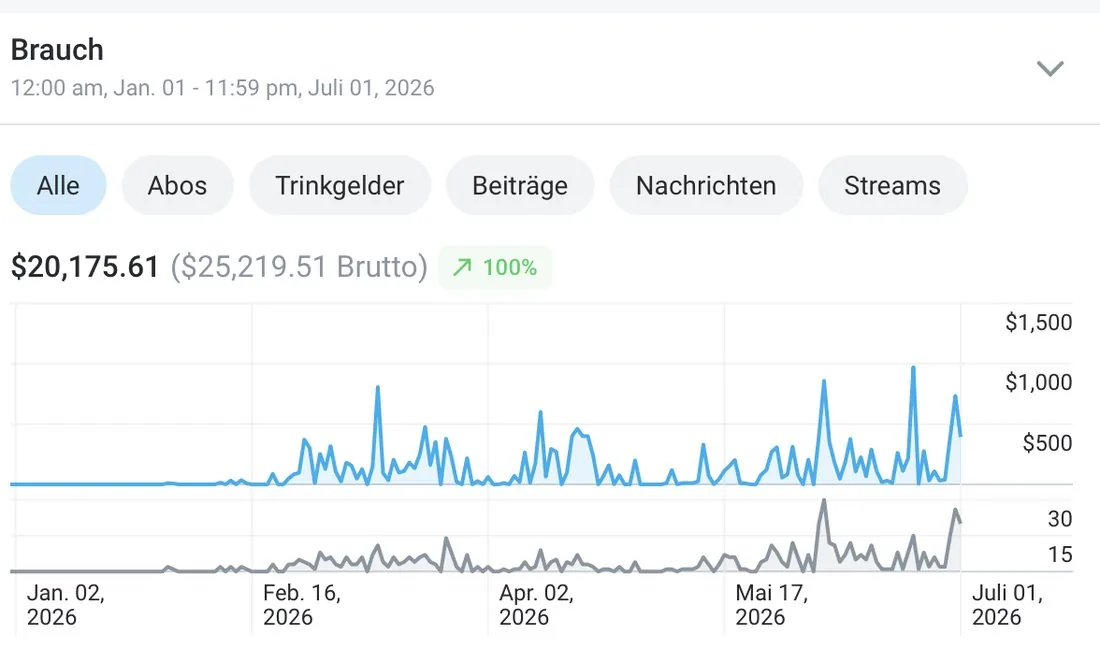 Plattform-Statistik 1. Januar bis 1. Juli 2026: $20.175,61 netto, $25.219,51 brutto